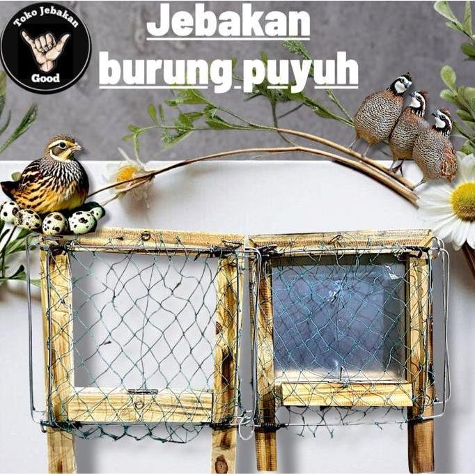 Fiteri_shopsans - sangkar jebakan burung puyuh