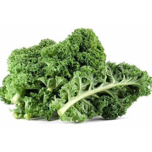Verdure- Sayur Kale Segar / Sayur Borecole Segar 1 Kg