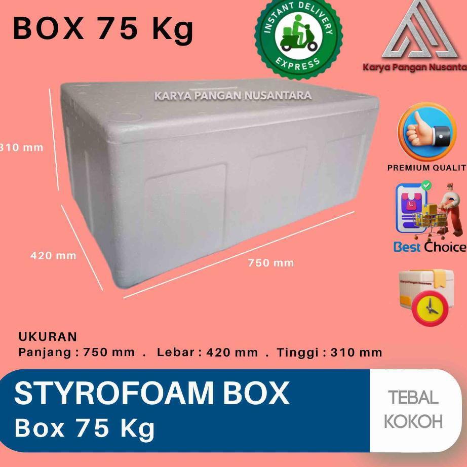 Styrofoam Box 75 Kg Box Es Besar Box Gabus Box Styrofoam Box-75 75X42X31 Cm Instant Kurir