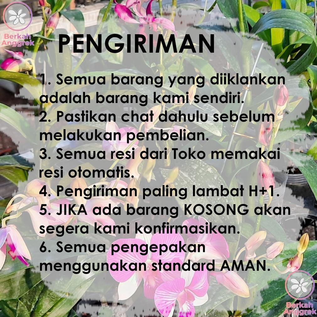 Promo Cod Dormex 50 Ml Pupuk Pertumbuhan Tunas Anggur Cairan ><