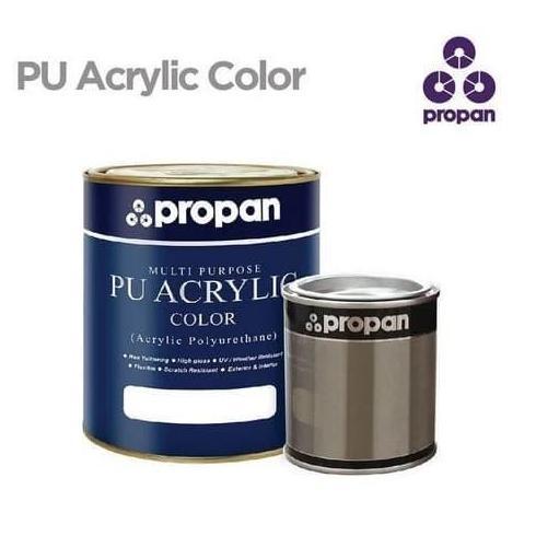 CAT DUCO Polyurethane PROPAN PU PUL 765 2K Clear 5 Liter