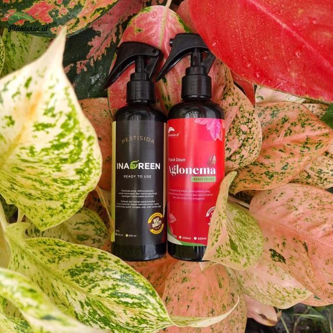 Pazx- Bundling Hemat Pupuk Aglonema 250Ml+Pestisida 250Ml Berkualitas Daun Tanaman