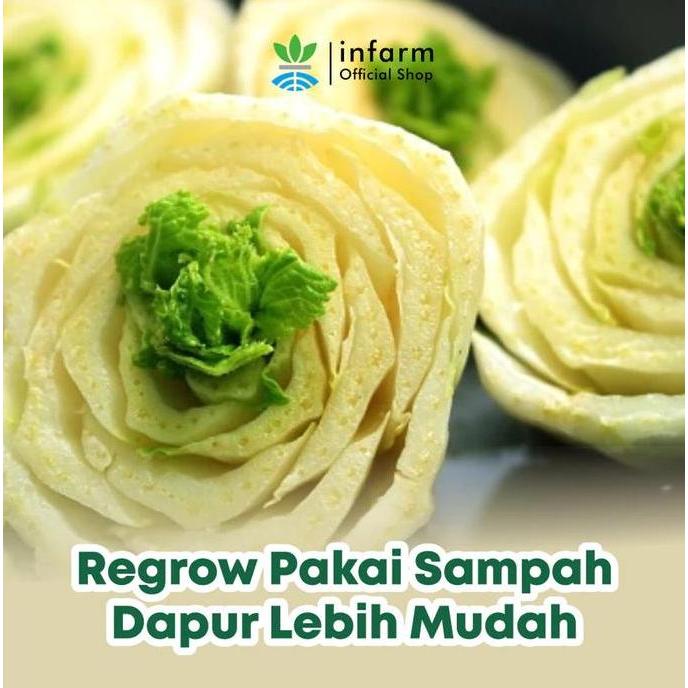 INFARM - Nutrisi Akar Tanaman 250 ml, Nutrisi Perangsang Akar Penyubur Tanaman Tidak Mudah Layu (TER
