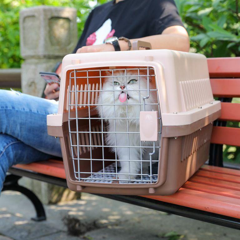 Ph.Medan Pet Cargo / Pet Carrier / Kennel Box / Kandang Cargo Kucing Anjing