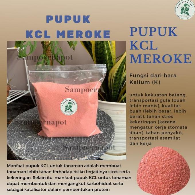 Noniwa- Pupuk Kcl Meroke Mop Kemasan Repack 1 Kg - Kcl Meroke Mop Repack