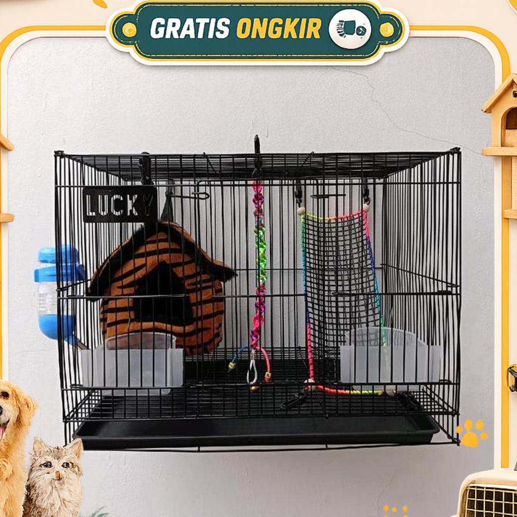Paket Kandang Sugar Glider Istimewa, Kandang Sugar Glider Kandang Lucky
