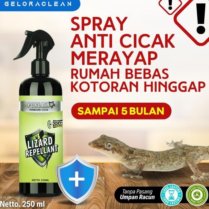 LIZARD REPELLANT RACUN CICAK PEMBASMI CICAK PALING AMPUH 100% ORIGINAL