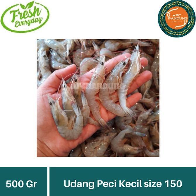 Cibo- Udang Peci Kecil Size 150 Fresh 500Gr Udang Jebung Vanami Kecil Segar