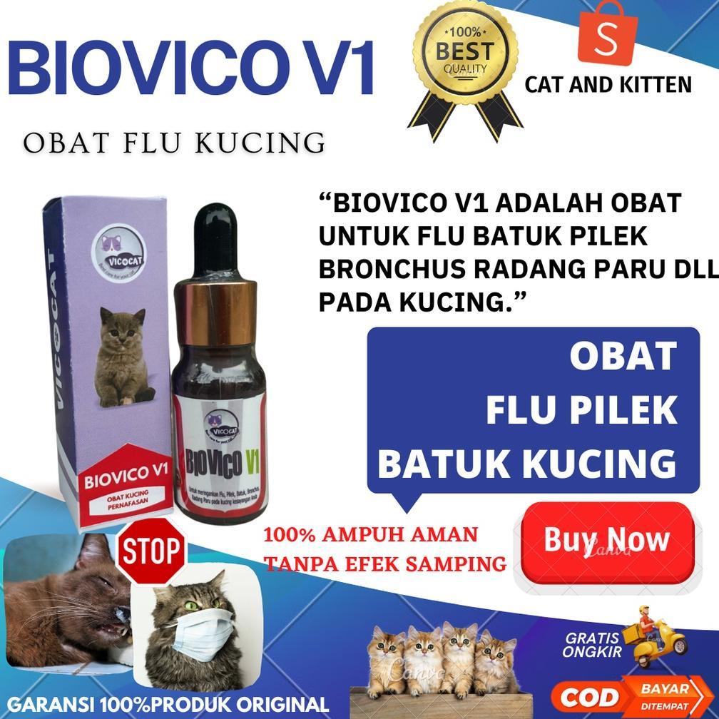 Flu kucing, obat flu batuk dan pilek kucing BIOVICO V1 Obat Batuk Pilek Flu Kucing Antibiotik Bisa U