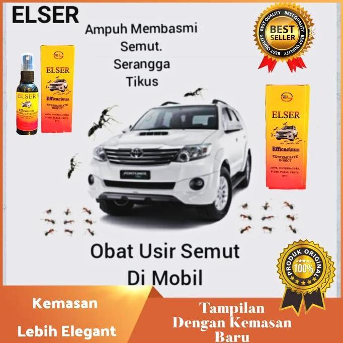 Obat Pembasmi Usir Semut di Mobil