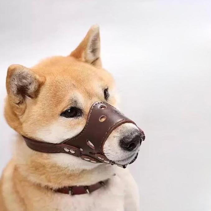MONTMERY Dog Muzzle Kulit Premium Penutup Mulut Anjing Anti Gigit & Menggonggong