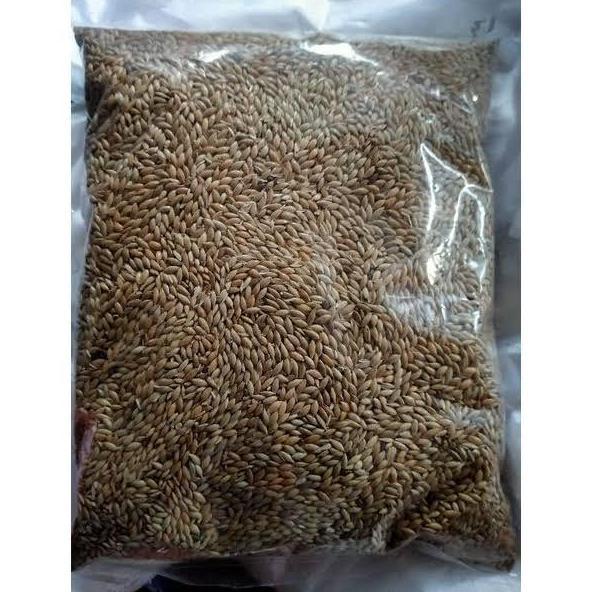 kenari seed 1 kg