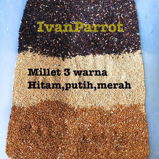 MILLET 3 WARNA MILLET MERAH HITAM PUTIH 1KG PAKAN BURUNG