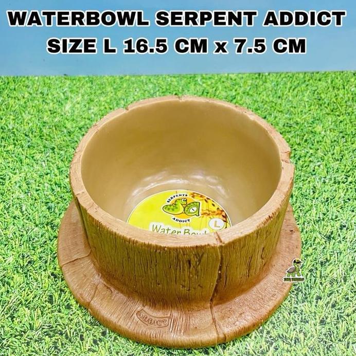 WATERDISH SERPENT ADDICT TEMPAT MINUM ULAR BIAWAK LEOPARD GECKO PANANA KADAL BALLPYTOON