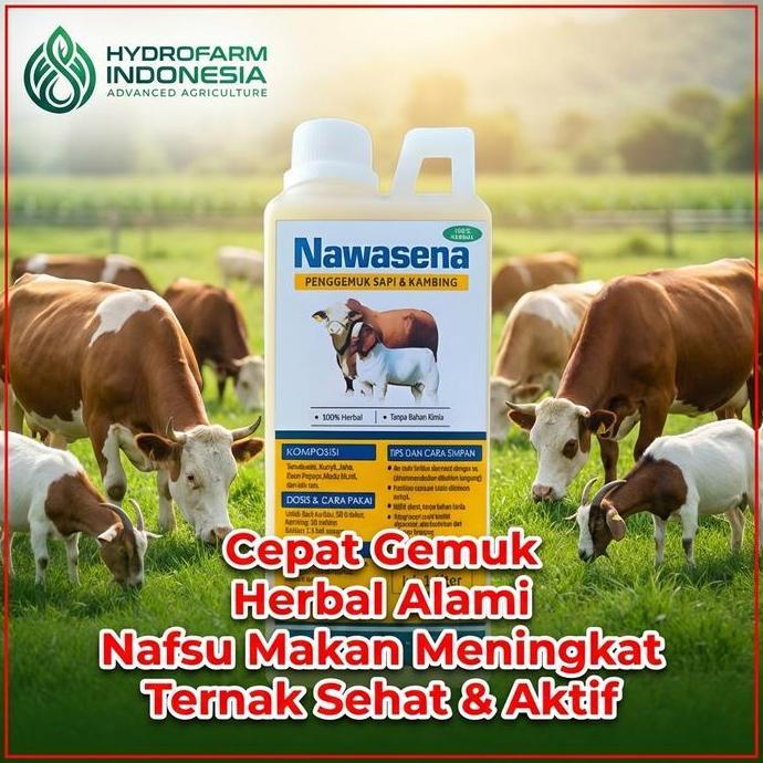 NAWASENA PENGGEMUK SAPI & KAMBING CEPAT 1L NAFSU MAKAN NAIK, BOBOT CEPAT BERTAMBAH, 100% HERBAL