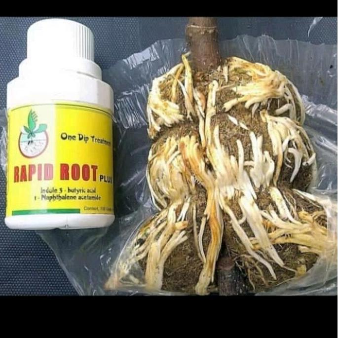 Fitplus- Rapid Root 100 Gram