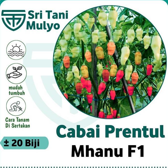 20 Biji - Benih Cabai Rawit Prentul Mhanu F1 Allshop