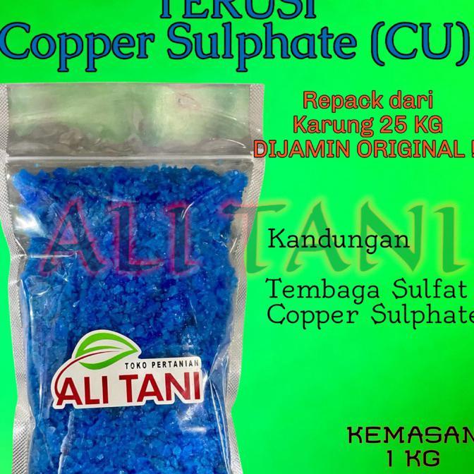 (Kasar) Terusi Kristal /Copper Sulphate / Cu Kemasan Re Pack 1 Kg Untuk Pembiru Air Kolam Renang/Ant