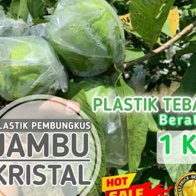 Plastik Pembungkus Jambu Kristal / Plastik Buah / Plastik Pembungkus Jeruk / Sawo