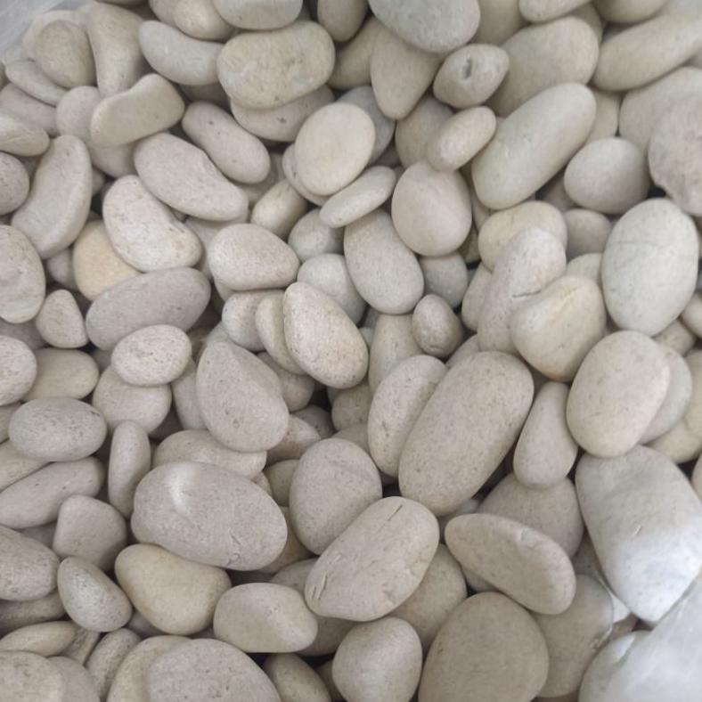NEW Batu Taman Putih 1kg / Termurah / Batu Coral Putih Kupang / Batu Kupang / Batu Taman Putih