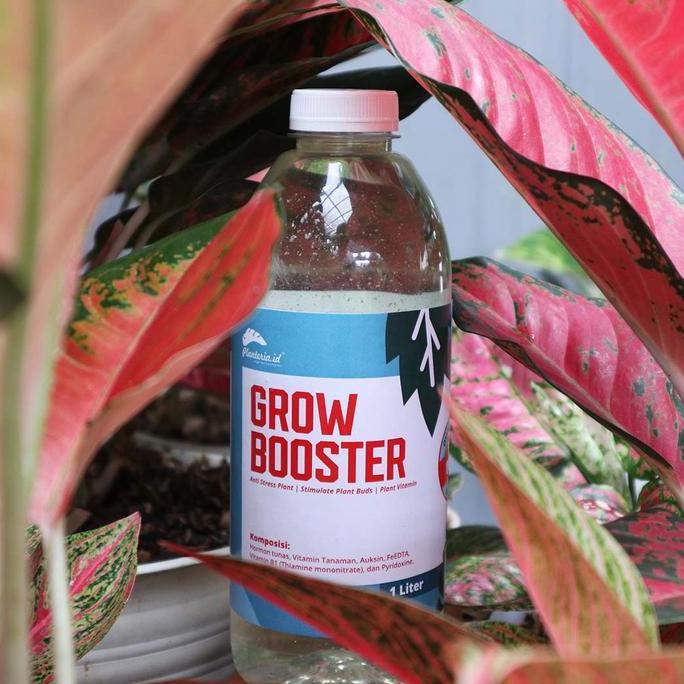Parco- Pupuk Vitamin B1 Tanaman Organik Grow Booster 1 Liter