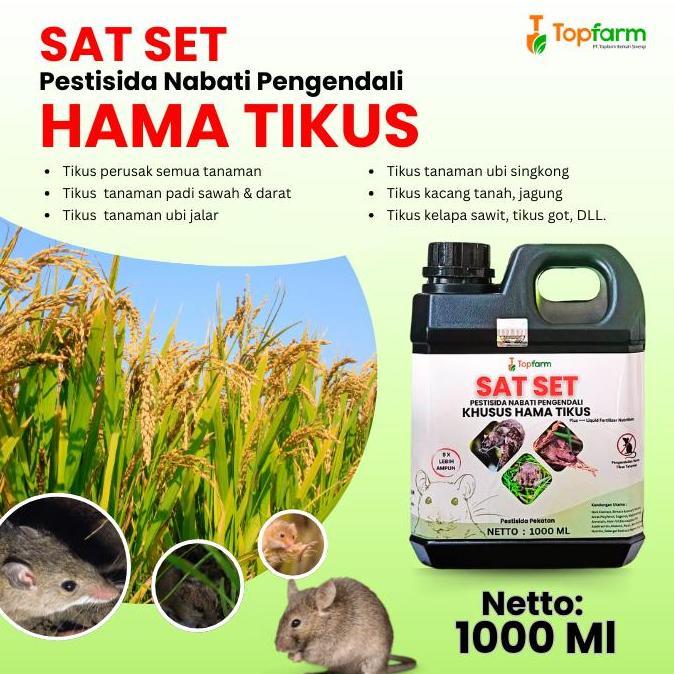 Ratratama54 - Obat Pengusir Tikus Sawah / Obat Tikus Untuk Di Sawah / Obat Tikus Paling Ampuh / Obat