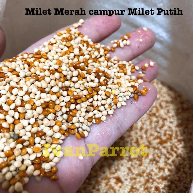 Milet Merah Campur Milet Putih 1Kg