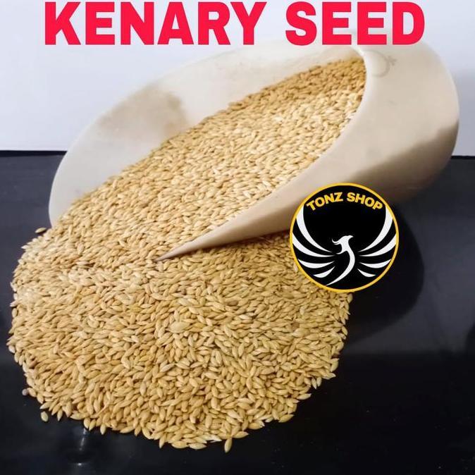 Canary Seed 1Kg/Canary Seed Repack Merk Vita/Makana Kenari