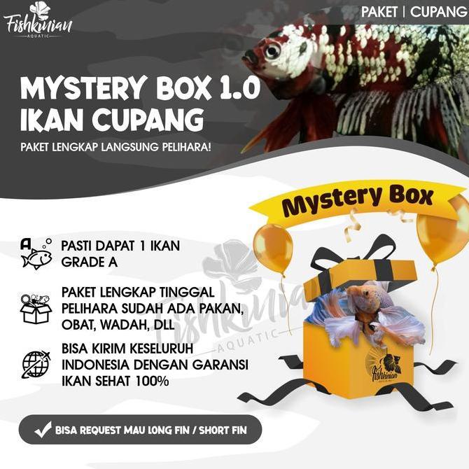 Fishup- Mystery Box Ikan Cupang Fishkinian + Perlengkapan Lengkap