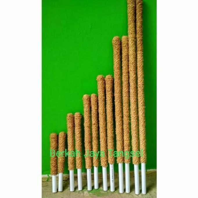 Turus Media Tanam 100 Cm Dan 150 Cm