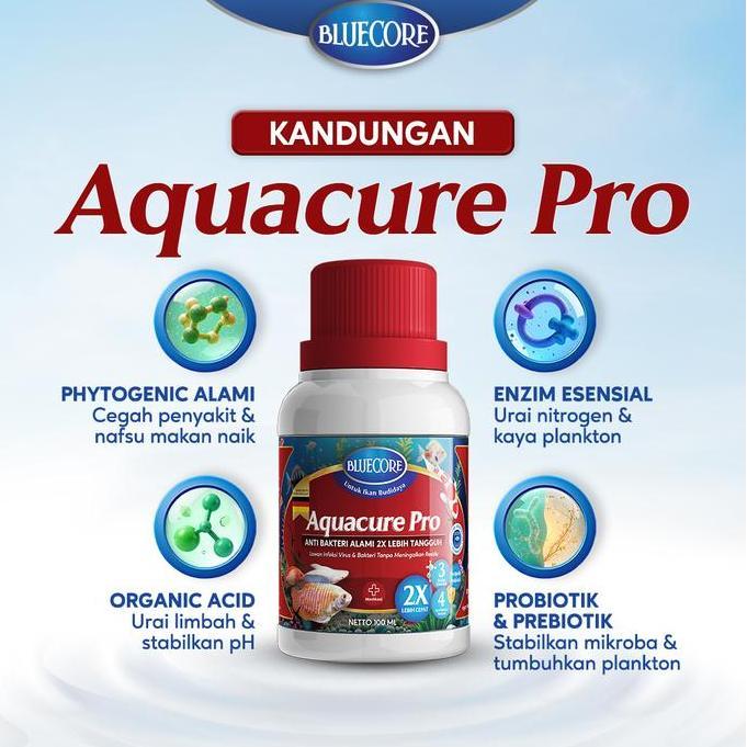 Mycats- Bluecore Aquacure-Pro Antibiotik Alami Ikan Dengan Double Action Formula (Extra Herbs) Untuk