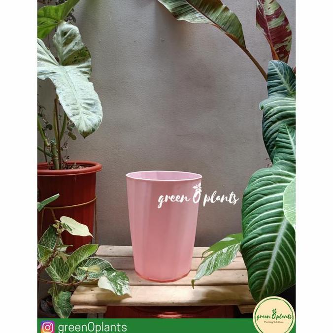 Pot Twister warna warni