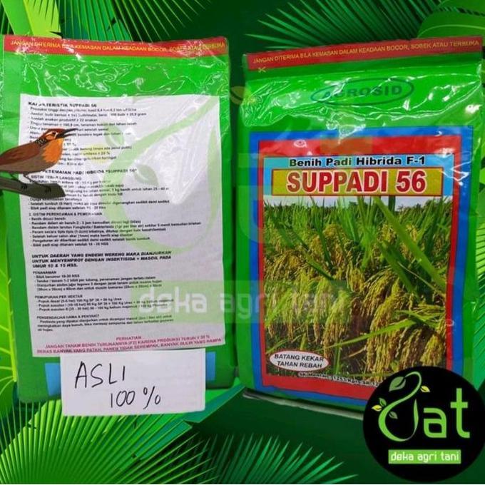 BIBIT BENIH PADI HIBRIDA SUPPADI 56 1KG