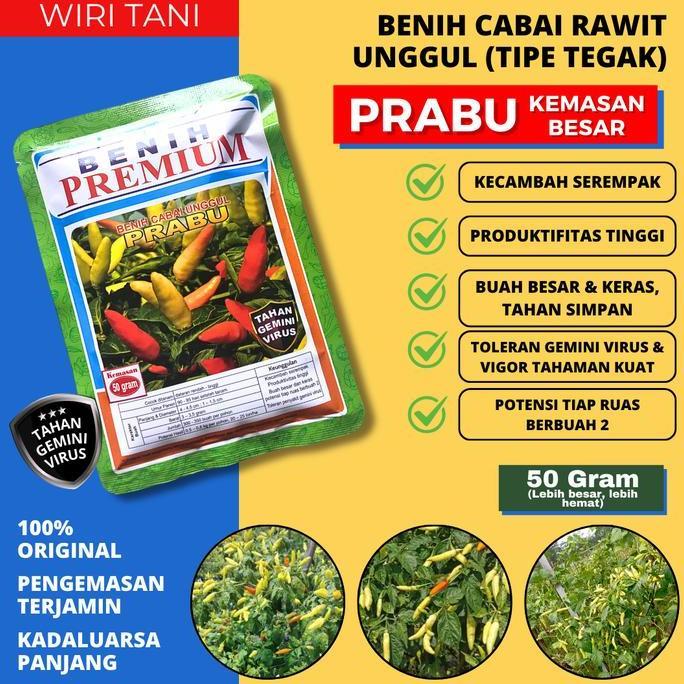 Best Seller (Kemasan Besar 50 Gram) Benih Cabai Tahan Virus Prabu +-10.500 Biji | Cabai Tipe Tegak, 