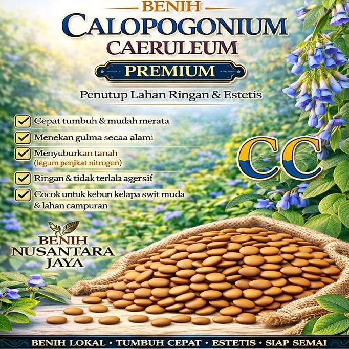 Kacangan - Calopogonium Caeruleum - Legume Cover crops - CC - 1000 gram Benih