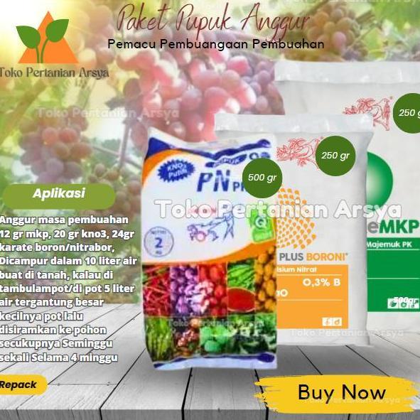 Newcastel- Paket Pupuk Anggur Kno3 Putih + Mkp + Boron