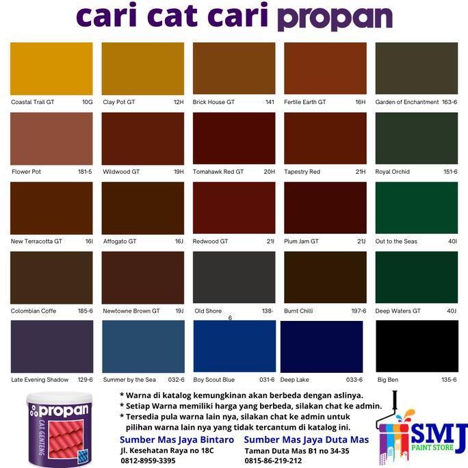 CAT GENTENG PROPAN TINTING 20 KG