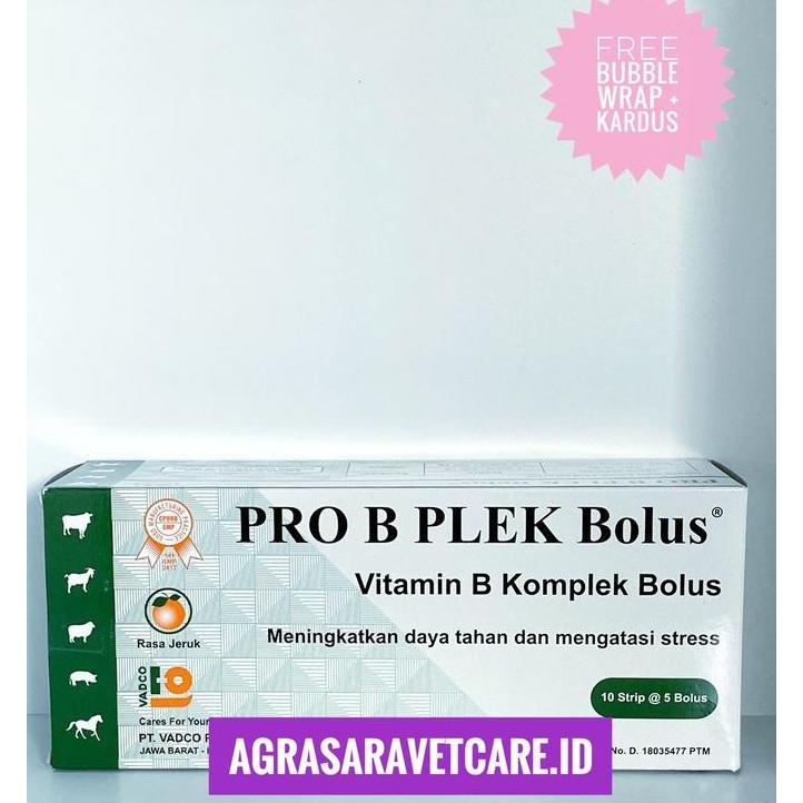 PRO B PLEK 1 DUS (50 BOLUS)- Vitamin B kompleks Hewan BOLUS RASA JERUK