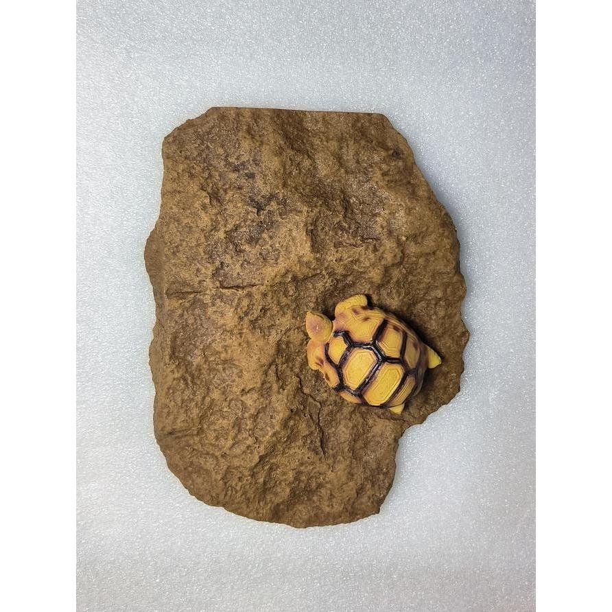 BASKING STONE MEDIUM YS 23CM X 17CM
