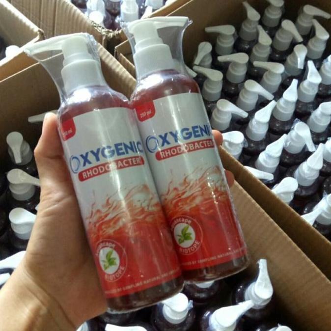 OXYGENIC AQUARIUM AQUASCAPE RHODOBACTER BACTERI STARTER 250ML