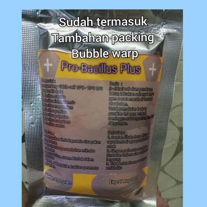 PROBIOTIK BACILLUS PLUS 100 GRAM / PROBIOTIK BACILLUS / BACILLUS / PROBIOTIK BIOFLOK / PROBIOTIK KOL