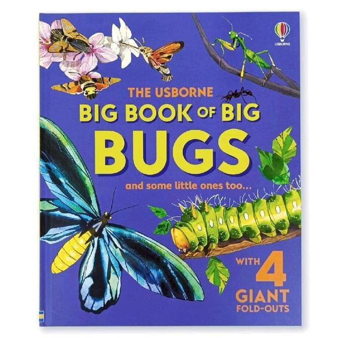 The Usborne Big Book of Bugs