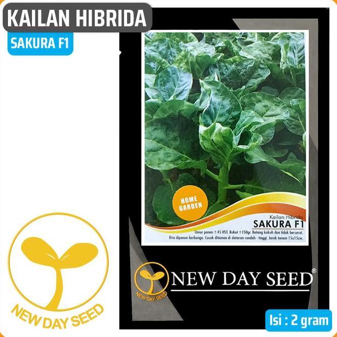 CORELA Benih Kailan SAKURA F1, 2 gr | New Day Seed