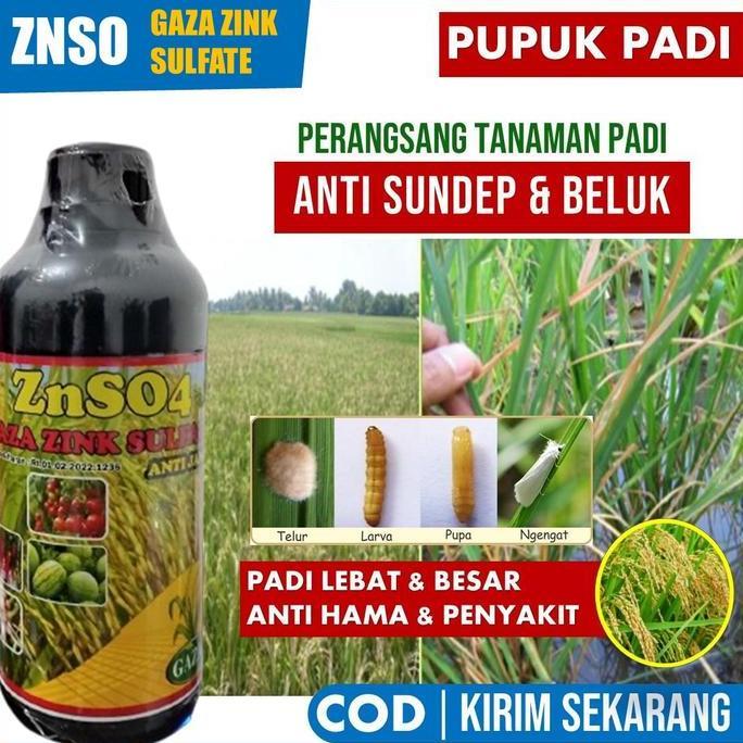 Parque - (Pupuk Wajib) Pupuk Padi Terbaik Basmi Hama Sundep Dan Beluk Padi Znso4 500 Ml Pupuk Peleba