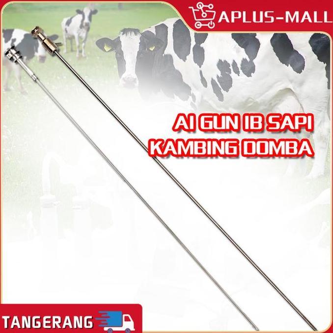 TSE AI Gun IB Sapi Kambing Domba - Stainless Steel