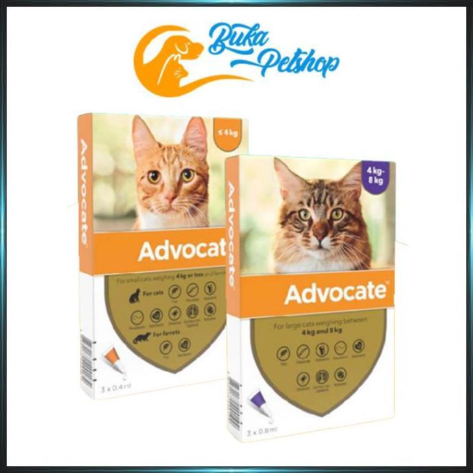 ADVOCATE Cat Obat Kutu Kucing Advocate Elanco