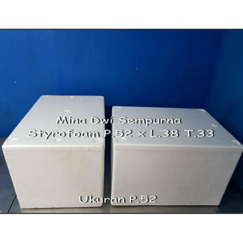 Styrofoam Box 18 - 20Kg / Sterofoam Ikan Beku & Daging Beku/ Cool Box
