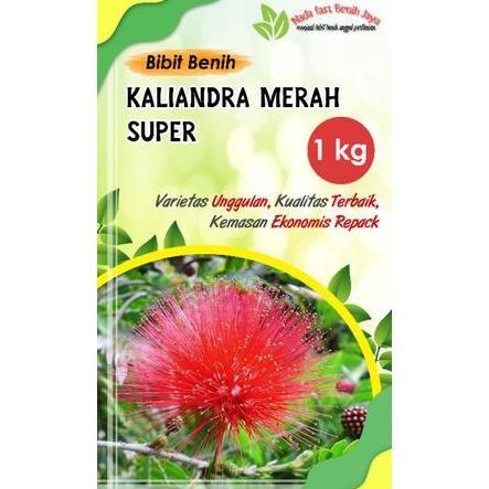 1 Kg Benih biji kaliandra merah super / bibit benih kaliandra benih Tanaman