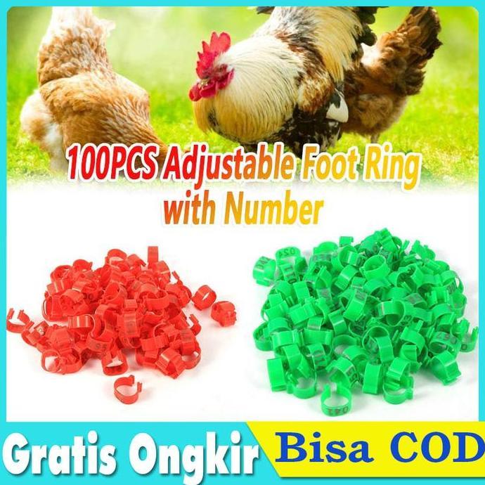 MRI Gelang Kaki Ayam Ring Kaki Ayam Gelang Jepit Kaki Ayam dengan Nomor