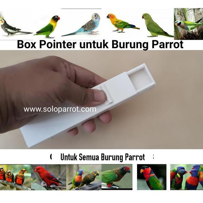@@@@] Pointer Burung